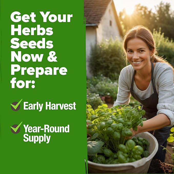 HOME GROWN Premium HERB Seeds Variety Pack - 20 Heirloom Herb Seeds for Planting - 6,000+ Non-GMO Seeds with Plant Markers - Indoor Outdoor Hydroponic Herb Garden - Culinary & Medicinal Herbs