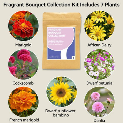 inbloom Fragrant Bouquet Seed Pod Kit for AeroGarden, iDoo, Ahopegarden, GARDENCUBE, 12 Pods (350+ Flower Seeds with Sunflower, Petunia, Mexican Marigold, Cockscomb, French Marigold, Dahlia)