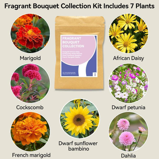 inbloom Fragrant Bouquet Seed Pod Kit for AeroGarden, iDoo, Ahopegarden, GARDENCUBE, 12 Pods (350+ Flower Seeds with Sunflower, Petunia, Mexican Marigold, Cockscomb, French Marigold, Dahlia)