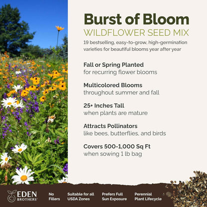 Eden Brothers Burst of Bloom Wildflower Mixed Seeds for Planting, 1 lb, 480,000+ Seeds with Cosmos, Black Eyed Susan | Attracts Pollinators, Plant in Spring or Fall, Zones 3, 4, 5, 6, 7, 8, 9, 10