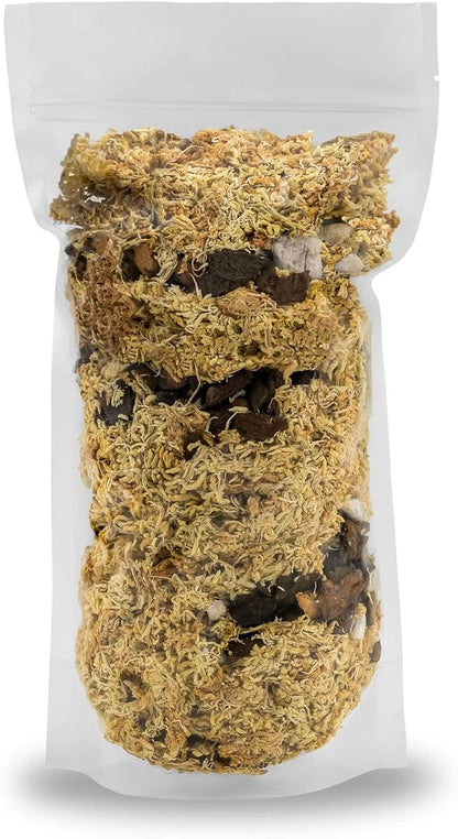 Gardenera Premium Pothos Potting Soil Mix - Air Cleaning Plant Potting Mix, Soil Mix for Pothos, Parlor Palm, Peace Lily - (1 Quart Bag)