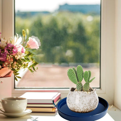 Plant Saucer Pot Tray Planter Saucers 4 Pack 4 inch, 5 6 7 8 9 10 11 12 13 15 Inch for Indoors Outdoor, Durable Sturdy Ceramic Flower Drainage drip Water Tray for Glazed Pots Base ((4.5"/4.1"-Blue)