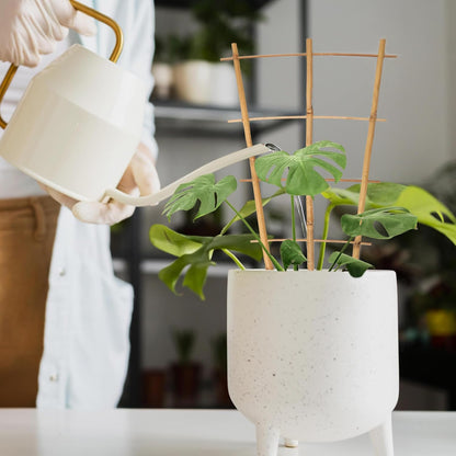 Plant Trellis Indoor 6 Pack Bamboo Trellis with Twist Ties, 16in Fan-Shaped Plant Trellises for Potted Plants Hoya Vines Monstera Houseplants