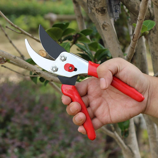 Flora Guard Garden Shears 8.5" Bypass Pruning Shears, Professional Ultra Sharp Sk5 Steel Garden Clippers, Heavy Duty Plant Cutting Scissors Tools Supplies, Hedge Branch Trimmer, Super Durable