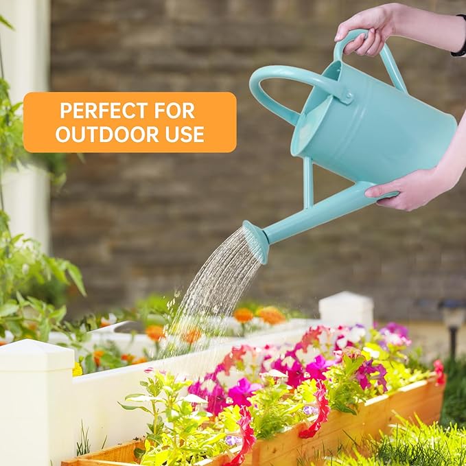Metal Watering Can for Outdoor Plants, 1 Gallon Galvanized Steel Watering Can with Removable spout for Outdoor & Indoor Use, Perfect for Garden Flower, Houseplants, Mint