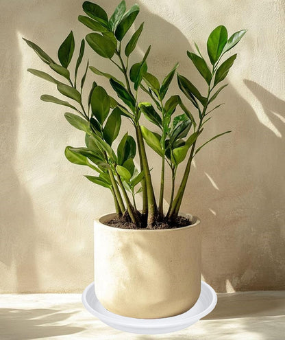 2 Pack of 19 inch Plant Saucer, Large Plant Tray, Heavy Sturdy Plant Drainage Tray for Indoors, Bird Bath Bowls, Sturdy 18 inch Plastic Pot Tray for Planter (White)