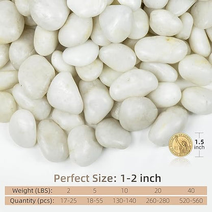 10lbs Pebbles for Plants, 1-2Inch Natural White River Rocks for Aquarium, High Polished Decorative Stones for Vase Filler Fish Tank Landscaping Garden