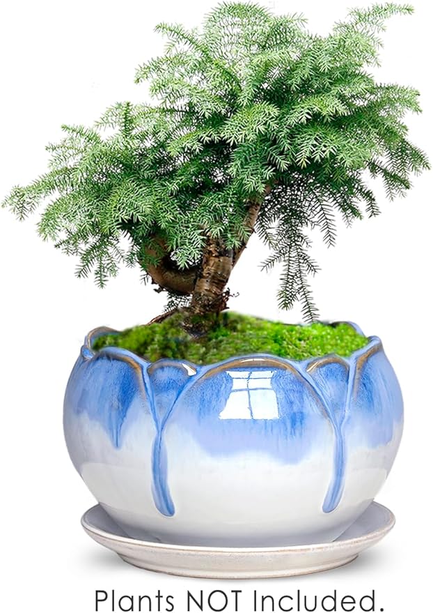 Dahlia 5.5'' Inch Rustic Drip Glazed Ceramic Planter/Succulent Pot/Plant Pot w. Saucer/Tray, White