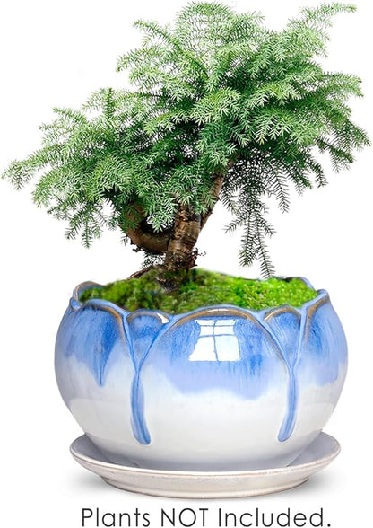 Dahlia 5.5'' Inch Rustic Drip Glazed Ceramic Planter/Succulent Pot/Plant Pot w. Saucer/Tray, White