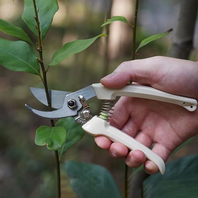 7" Small Pruning Shears Garden Shears - Premium Alloy Steel Bypass Pruner, Precision-ground Blades, Heavy Duty Gardening Tools, Ivory