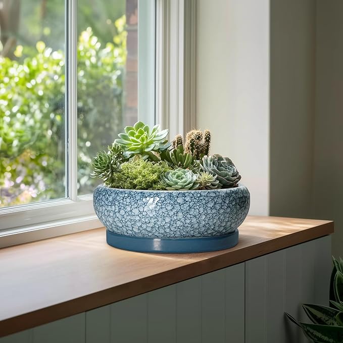 Large Succulent Planters - 13 Inch Ceramic Bonsai Pots with Drainage Hole and Saucer, Shallow Plant Pots Indoor Outdoor, Large Planter Bowl, Round Planter, Garden Decor, Gardening Gift, Blue