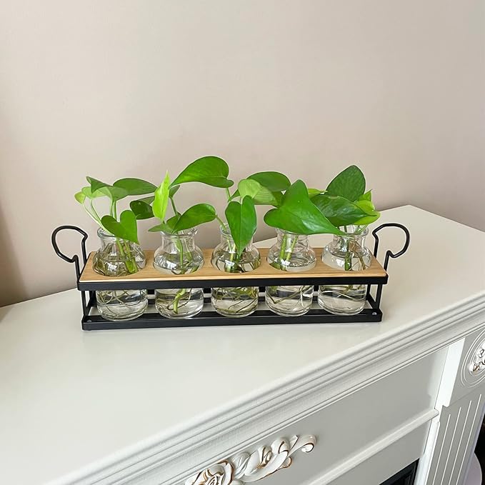 THYGIFTREE Plant Propagation Stations with Metal Stand, Tabletop Plant Terrarium for Propagating Hydroponic, Retro Glass Planter Flower Vase Home Kitchen Office Decor Gifts, 5 Jars