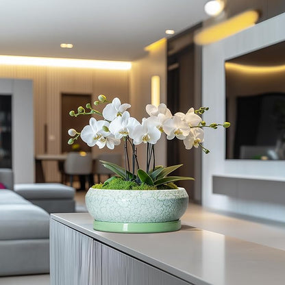 Bonsai Pots - 10 Inch Ceramic Succulent Pot with Drainage Hole and Plant Saucer, Succulent Planters for Indoor Outdoor, Round Planter Bowl, Shallow Planter, Home Decor, Gardening Gift, Green