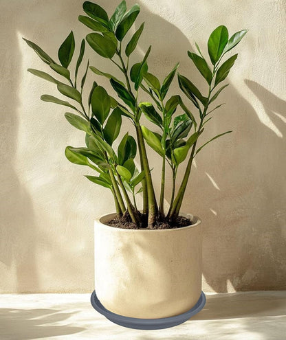 4 Pack of 16 inch Plant Saucer, Large Plant Tray, Heavy Sturdy Plant Drainage Tray for Indoors, Bird Bath Bowls, Sturdy Plastic Pot Tray for Planter 14 15 16"(Gray)