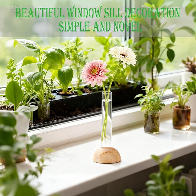 Desktop Glass Plant Propagation Station with 1 Tubes and Wooden Stand - Hydroponic Plant Cuttings Holder for Office Desk, Home Decor, Terrarium