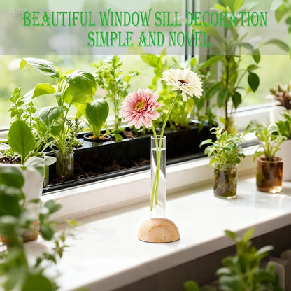 Desktop Glass Plant Propagation Station with 1 Tubes and Wooden Stand - Hydroponic Plant Cuttings Holder for Office Desk, Home Decor, Terrarium