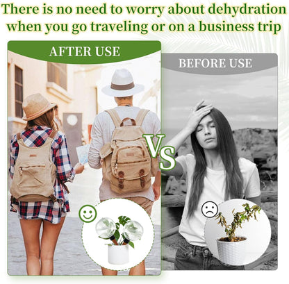 3 Pcs Self Watering Globes for Indoor Plants Automatic Watering Planter Insert 17.5 oz Watering Bulbs with Slow Release Control Water Dripper for Plants