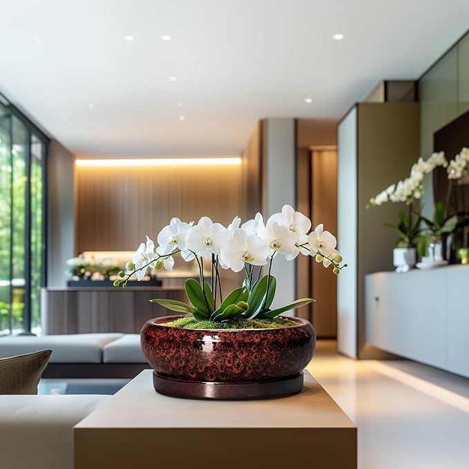 Bonsai Pots with Drainage Hole - 13 Inch Ceramic Succulent Pots, Large Succulent Planter with Saucer, Shallow Planter Indoor Outdoor, Round Planter Bowl, Apartment Decor, Garden Gifts, Red