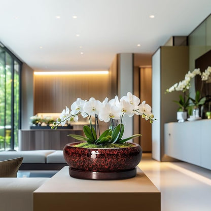 Bonsai Pots with Drainage Hole - 13 Inch Ceramic Succulent Pots, Large Succulent Planter with Saucer, Shallow Planter Indoor Outdoor, Round Planter Bowl, Apartment Decor, Garden Gifts, Red