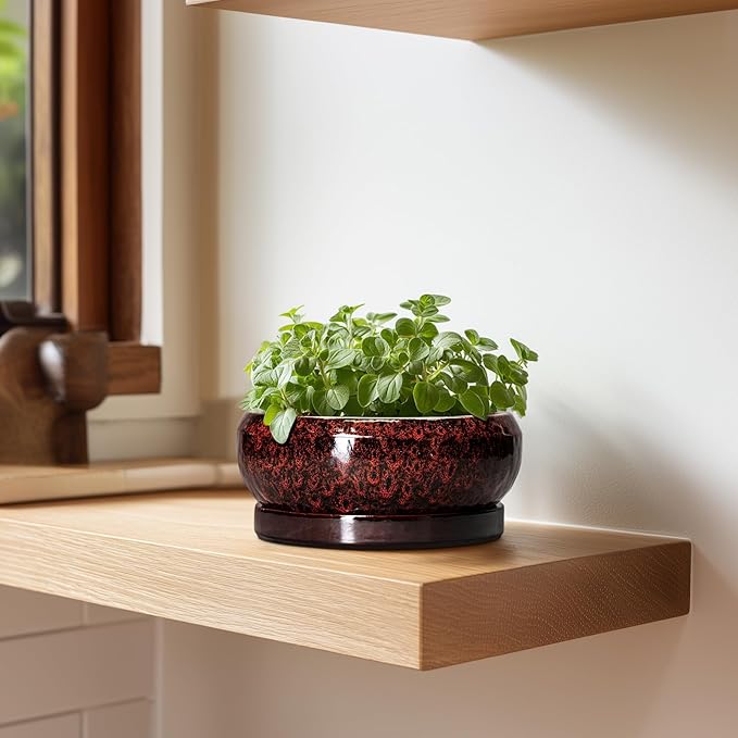 Succulent Planters 6 Inch - Ceramic Bonsai Pots with Drainage Hole and Saucer, Small Bonsai Planter, Round Planter Bowl, Shallow Plant Pots Indoor, Room Decor, Gifts for Plant Lovers, Red