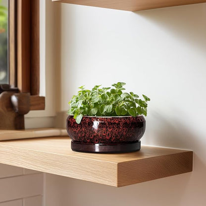 Succulent Planters 6 Inch - Ceramic Bonsai Pots with Drainage Hole and Saucer, Small Bonsai Planter, Round Planter Bowl, Shallow Plant Pots Indoor, Room Decor, Gifts for Plant Lovers, Red