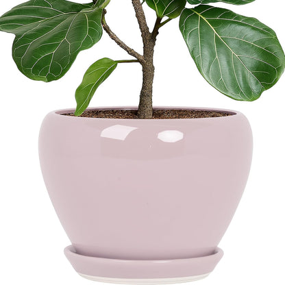 Deep Dream 10 Inch Plant Pot- Ceramic Planter Pot Round Plant Pots for Indoor Plants Outdoor Large Flower Pot with Drainage Holes & Trays, Pink