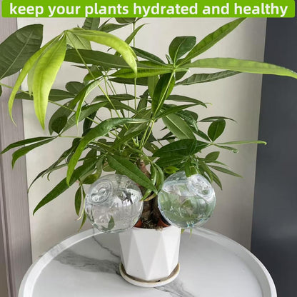 2 Pack Self Watering Globes for Indoor & Outdoor Plants – 17oz Automatic Watering Bulbs for Houseplants –Slow Release Control Water Dripper for Plants – Plant Watering Devices While Away