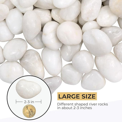 20lbs Large River Rocks, White Pebbles for Plants 2-3 Inch, High Polished Natural Decorative Stones for Aquarium Vase Filler Fish Tank Landscaping Garden