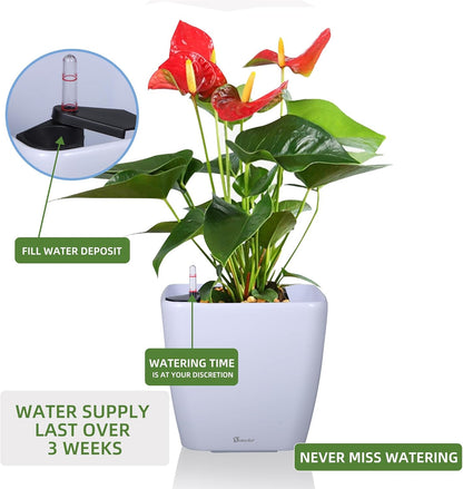 Dexceder 9x8 Self Watering Planter Indoor Outdoor, Inner Mat Design, Thickened Table Flower Plant Pot with Water Level Indicator (White High Gloss)