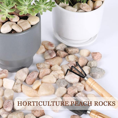 5lbs Natural River Rocks, Polished Pebbles for Plants Garden, 1-2 inch Decorative Peach Stones, Ideal for Fish Tank, Vases, Crafting, Home Decor and Garden Landscaping Rocks,Peach