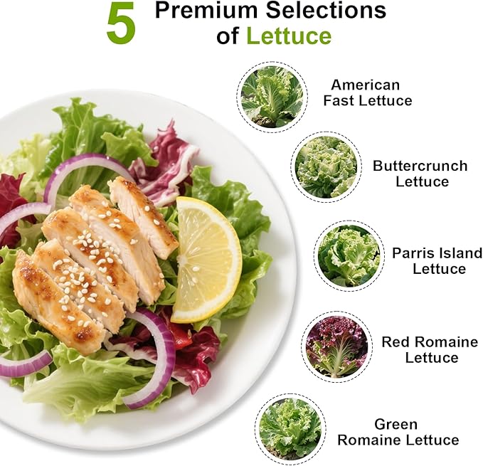 Green Goddess Salad Seed Pod Kit for AeroGarden, idoo, Ahopegarden, MUFGA with Red Romaine/Green Romaine/American Fast/Parris Island/Buttercrunch Lettuce - Compatible with All Garden(7-Pod)