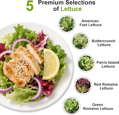 Green Goddess Salad Seed Pod Kit for AeroGarden, idoo, Ahopegarden, MUFGA with Red Romaine/Green Romaine/American Fast/Parris Island/Buttercrunch Lettuce - Compatible with All Garden(7-Pod)