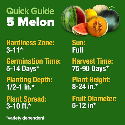 HOME GROWN 𝗨𝗦𝗔 𝗣𝗥𝗘𝗠𝗜𝗨𝗠 Melon Seeds Variety Pack 5 𝗡𝗢𝗡-𝗚𝗠𝗢 Heirloom Vegetable Seeds, Watermelon Cantaloupe Honeydew Sugar Baby & Melon, High Germination for Planting Home Garden Indoors