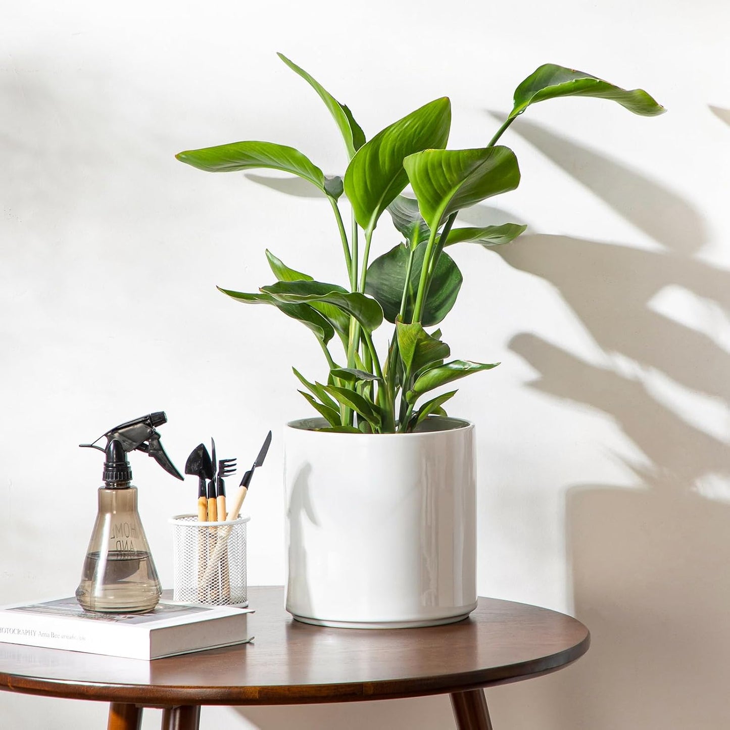 vancasso 8 Inch Ceramic Pot for Plants, Round Outdoor Indoor Planter Pots with Drainage Holes, White