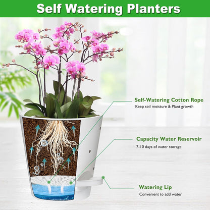 Orchid Pots with Holes, 6 Inch Self Watering Orchid Pot 2 Pack Plastic Plant Pots for Orchid, Flower (White)