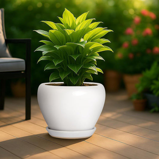 Deep Dream 10 Inch Plant Pot- Ceramic Planter Pot Round Plant Pots for Indoor Plants Outdoor Large Flower Pot with Drainage Holes & Trays, White