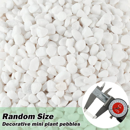 11 Lbs Natural River Rocks for Plants 0.3” Small Decorative Pebbles for Plant Pot Landscaping Garden Stones White Aquarium Gravel, Mini Vase Filler, Terrarium Rocks in Bulk, Home Decor