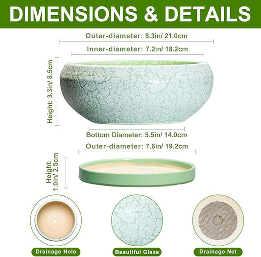 Bonsai Pots Ceramic - 8 Inch Succulent Pots Indoor Outdoor, Shallow Planters with Drainage Hole and Tray, Ceramic Planter Bowl, Round Planter, Apartment Decor, Gifts for Plant Lovers, Green