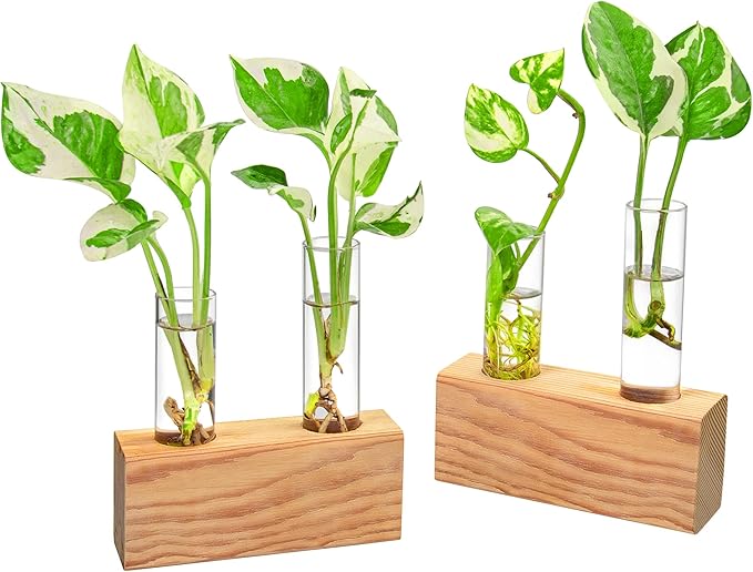 Propagation Station, Plants Terrarium, Plants Lover Gifts for Women,Plant Cutting Holder Home décor,Gifts for Women,House Warming New Home-4 Tubes-Beige