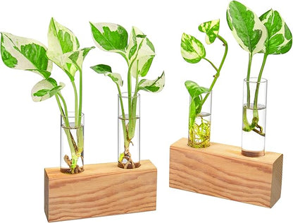 Propagation Station, Plants Terrarium, Plants Lover Gifts for Women,Plant Cutting Holder Home décor,Gifts for Women,House Warming New Home-4 Tubes-Beige