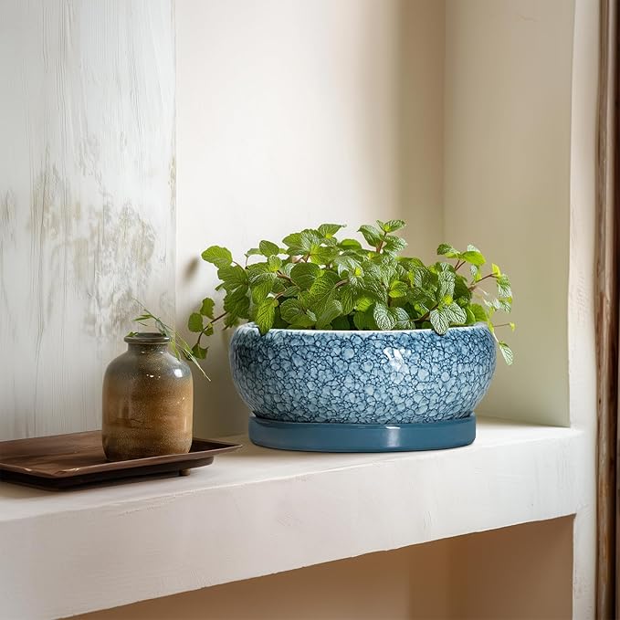 Ceramic Bonsai Pots - 8 Inch Succulent Planters Indoor Outdoor, Bonsai Planters with Drainage Hole and Saucer, Shallow Planter, Round Planter Bowl, Home Decor, Gifts for Plant Lovers, Blue