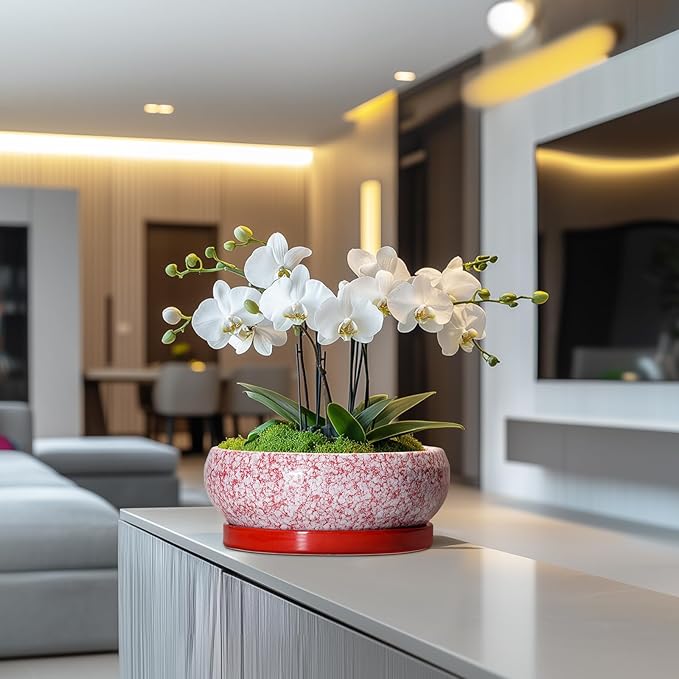 Bonsai Pots 10 Inch - Ceramic Succulent Planters for Indoor Plants Outdoor, Succulent Pots with Drainage Hole and Tray, Round Shallow Planter, Bonsai Planter, Home Decor, Gardening Gift, Red