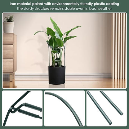 10 Pack Supports Stakes Metal 10" Wide x 24" High Peony Cages and Supports Garden Interlock Half Round Support Ring Border Support Ring Cage for Rose Vine Tomato