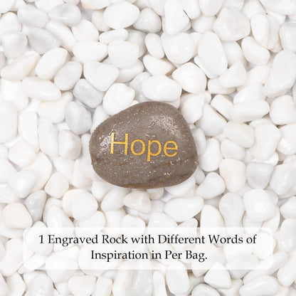 11lbs White Natural River Rocks, Polished Pebbles for Plants Garden, 0.3-0.8 inch Decorative White Stones, Ideal for Fish Tank, Vases, Crafting, Home Decor and Garden Landscaping Rocks,White