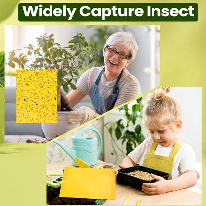 Qualirey 100 Pcs 6 x 8 Inch Sticky Traps for Plant Double Sided Sticky Trap for Gnats with Twist Ties Fly Traps for Fruit Insect Fungus Bugs Indoor Outdoor (Yellow)