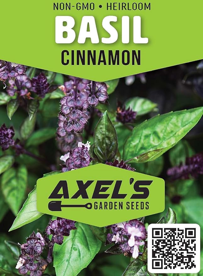 Cinnamon Basil Seeds for Planting Heirloom Non GMO Packets 750 Seeds – Plant & Grow Cinnamon Basil Indoor Hydroponics or Outdoor Gardening, Great Gardening Gift – 5 Packets, Purple