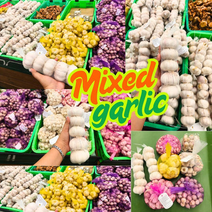 1 Pound Garlic for Planting in Fall Mix Random Softneck Hardneck, 8 Assorted Garlic Bulbs for Planting, Fresh and High Yield Bulb Variety Pack, Hardy and Fast Growing