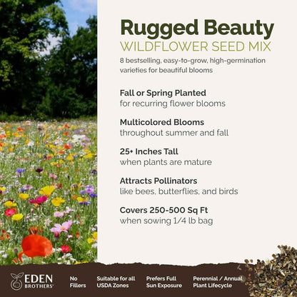Eden Brothers Rugged Beauty Flower Mixed Seeds for Planting, 1/4 lb, 120,000+ Seeds with Cornflower Tall Blue, Candytuft | Attracts Pollinators, Plant in Spring or Fall, Zones 3, 4, 5, 6, 7, 8, 9, 10
