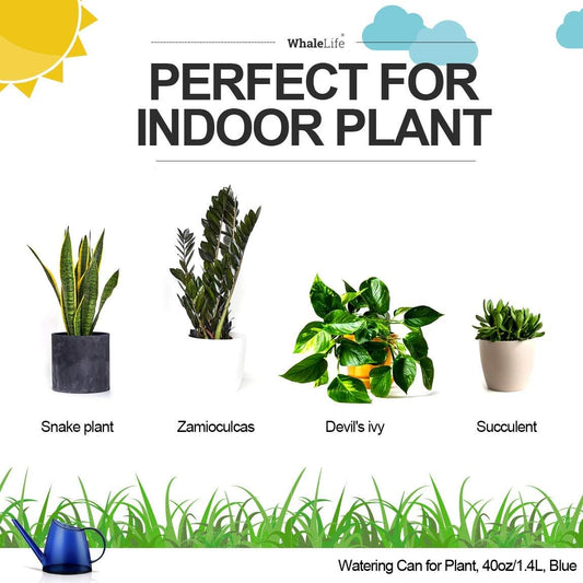 WhaleLife Indoor Watering Can for House Bonsai Plants (1.4L, Blue)