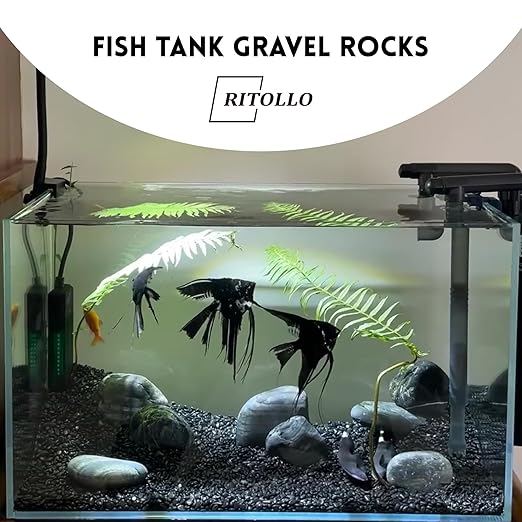 12 lb Black Pebble Rocks 3/5-8/5 Inch Polished River Stones for Indoor Plants, Garden Landscaping, Vase Fillers & Aquarium Decor - Natural Decorative Rocks for Succulents, Bonsai, Terrariums